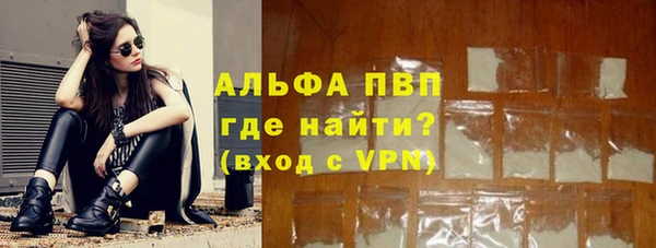 индика Горно-Алтайск
