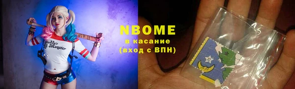 индика Горно-Алтайск