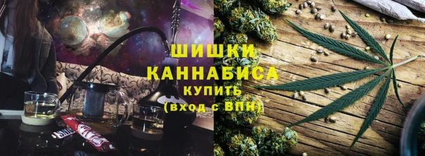 индика Горно-Алтайск