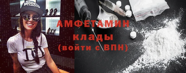 индика Горно-Алтайск