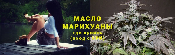 индика Горно-Алтайск