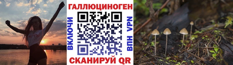 Купить где  Новосибирск  Псилоцибиновые грибы MAGIC MUSHROOMS 